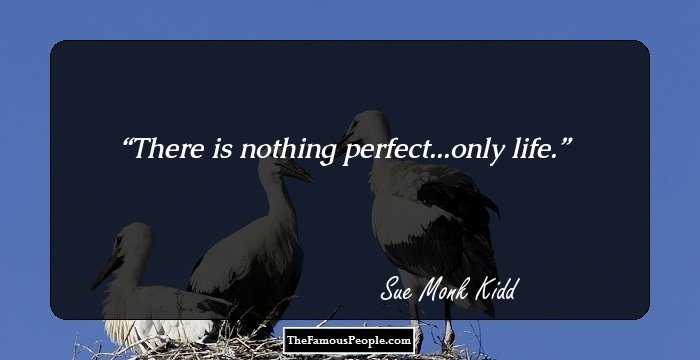 There is nothing perfect...only life.