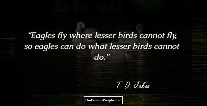 Eagles fly where lesser birds cannot fly, so eagles can do what lesser birds cannot do.