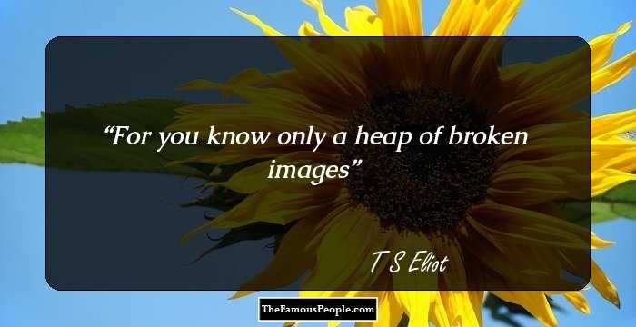 For you know only a heap of broken images