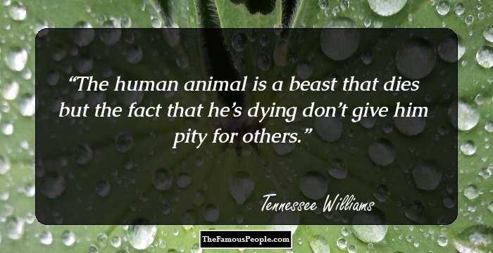The human animal is a beast that dies but the fact that he’s dying don’t give him pity for others.
