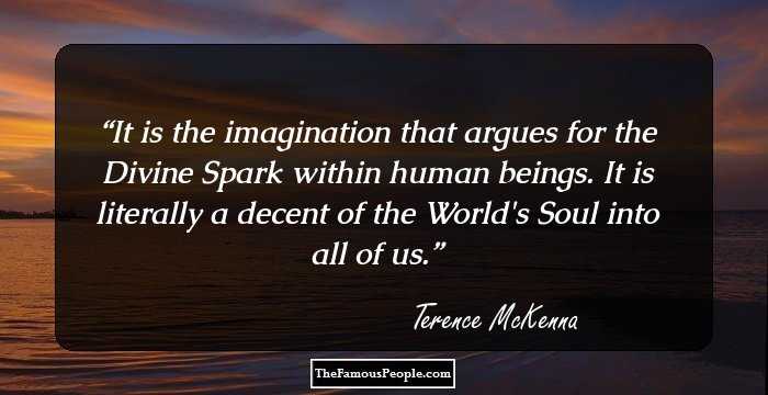 It is the imagination that argues for the Divine Spark within human beings. It is literally a decent of the World's Soul into all of us.