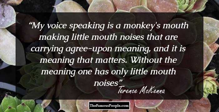 My voice speaking is a monkey's mouth making little mouth noises that are carrying agree-upon meaning, and it is meaning that matters. Without the meaning one has only little mouth noises