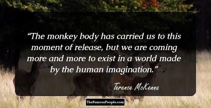 The monkey body has carried us to this moment of release, but we are coming more and more to exist in a world made by the human imagination.