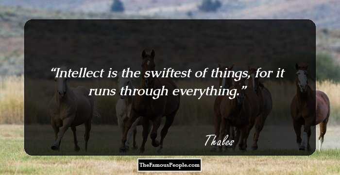 Intellect is the swiftest of things, for it runs through everything.