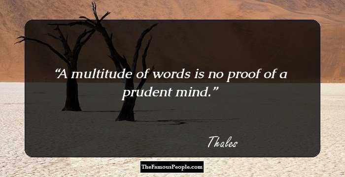 A multitude of words is no proof of a prudent mind.