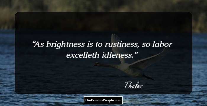 As brightness is to rustiness, so labor excelleth idleness.