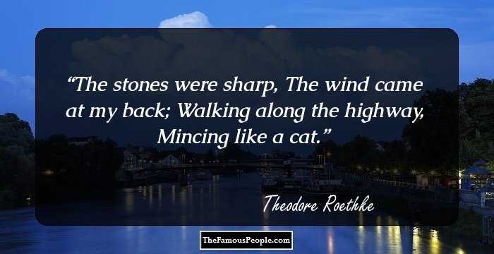 The stones were sharp,
The wind came at my back;
Walking along the highway, 
Mincing like a cat.