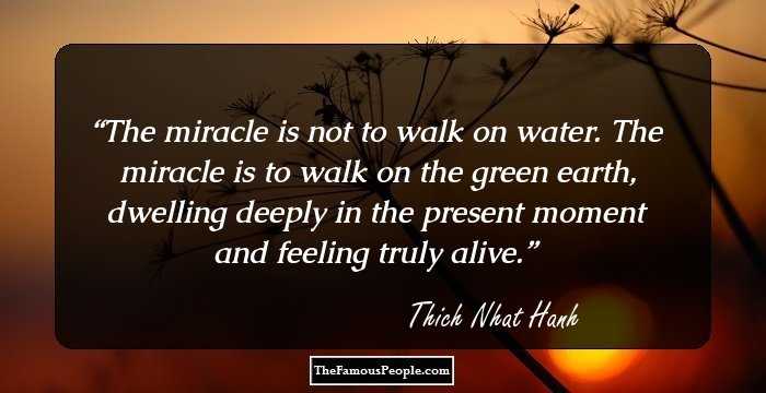 The miracle is not to walk on water. The miracle is to walk on the green earth, dwelling deeply in the present moment and feeling truly alive.