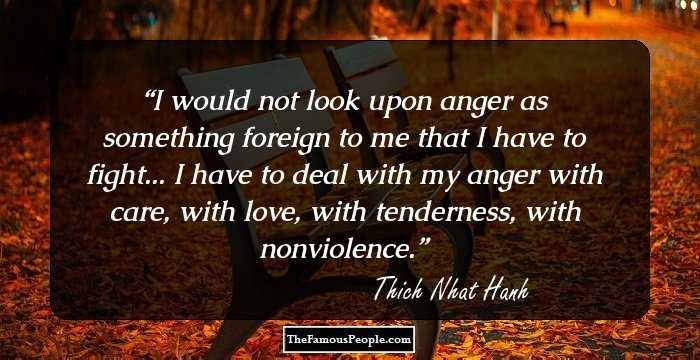 I would not look upon anger as something foreign to me that I have to fight... I have to deal with my anger with care, with love, with tenderness, with nonviolence.