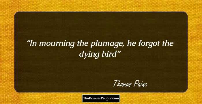 In mourning the plumage, he forgot the dying bird