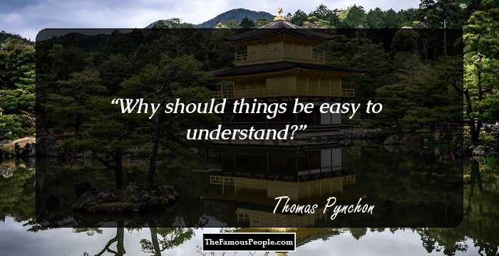 Why should things be easy to understand?