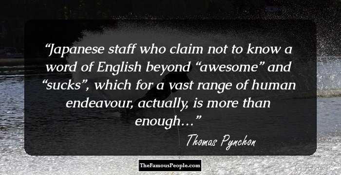 Japanese staff who claim not to know a word of English beyond “awesome” and “sucks”, which for a vast range of human endeavour, actually, is more than enough…