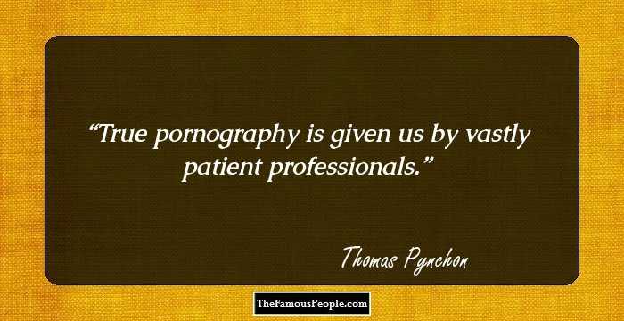True pornography is given us by vastly patient professionals.