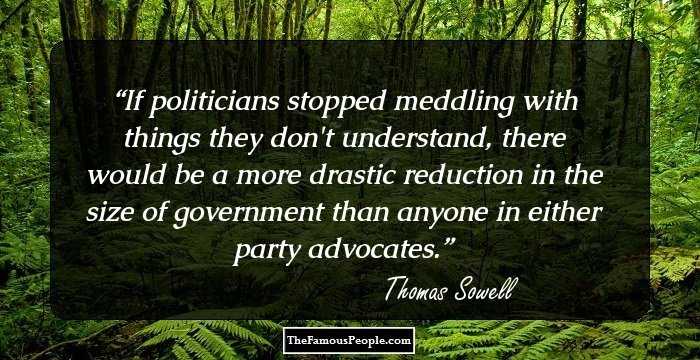 If politicians stopped meddling with things they don't understand, there would be a more drastic reduction in the size of government than anyone in either party advocates.