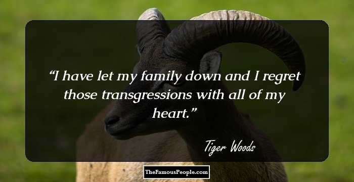 I have let my family down and I regret those transgressions with all of my heart.
