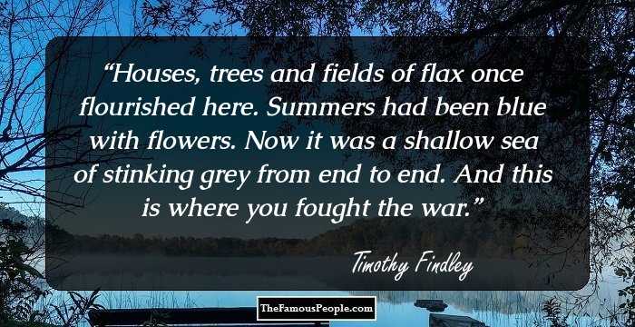 Houses, trees and fields of flax once flourished here. Summers had been blue with flowers. Now it was a shallow sea of stinking grey from end to end. And this is where you fought the war.