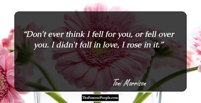Don't ever think I fell for you, or fell over you. I didn't fall in love, I rose in it.