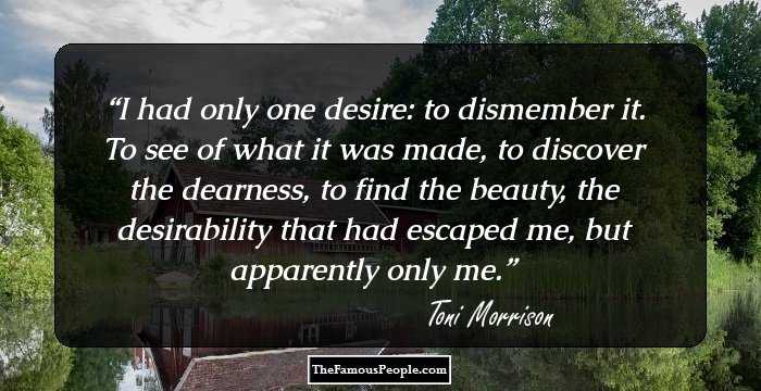 I had only one desire: to dismember it. To see of what it was made, to discover the dearness, to find the beauty, the desirability that had escaped me, but apparently only me.