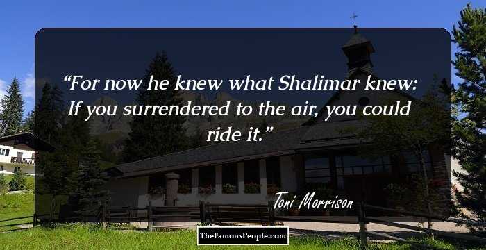 For now he knew what Shalimar knew: If you surrendered to the air, you could ride it.