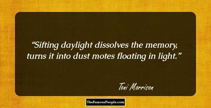 Sifting daylight dissolves the memory, turns it into dust motes floating in light.