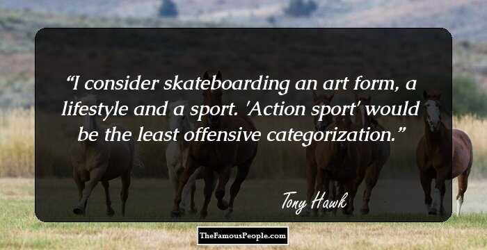 I consider skateboarding an art form, a lifestyle and a sport. 'Action sport' would be the least offensive categorization.