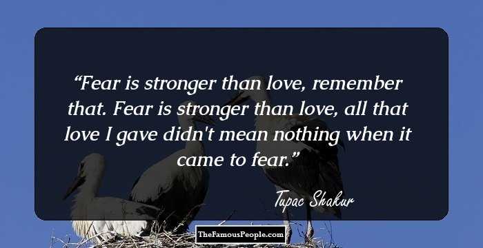 Fear is stronger than love, remember that. Fear is stronger than love, all that love I gave didn't mean nothing when it came to fear.