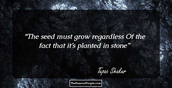 The seed must grow regardless 
Of the fact that it’s planted in stone