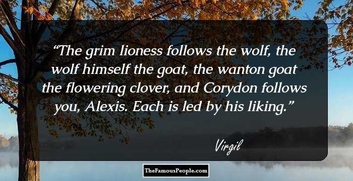 The grim lioness follows the wolf, the wolf himself the goat, the wanton goat the flowering clover, and Corydon follows you, Alexis. Each is led by his liking.