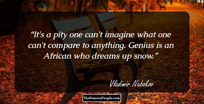 It's a pity one can't imagine what one can't compare to anything. Genius is an African who dreams up snow.