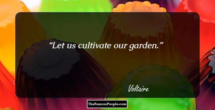 Let us cultivate our garden.