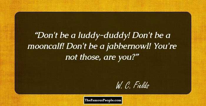 Don't be a luddy-duddy! Don't be a mooncalf! Don't be a jabbernowl! You're not those, are you?