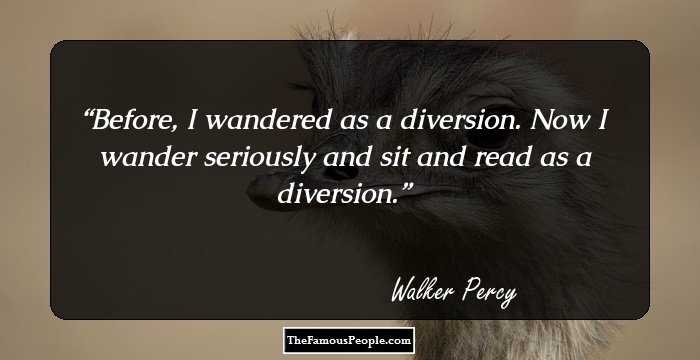 Before, I wandered as a diversion. Now I wander seriously and sit and read as a diversion.