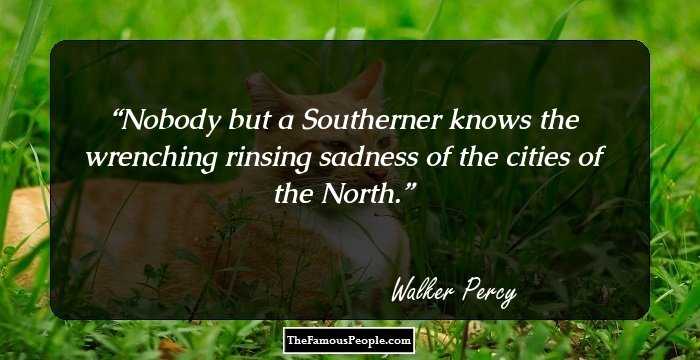 Nobody but a Southerner knows the wrenching rinsing sadness of the cities of the North.