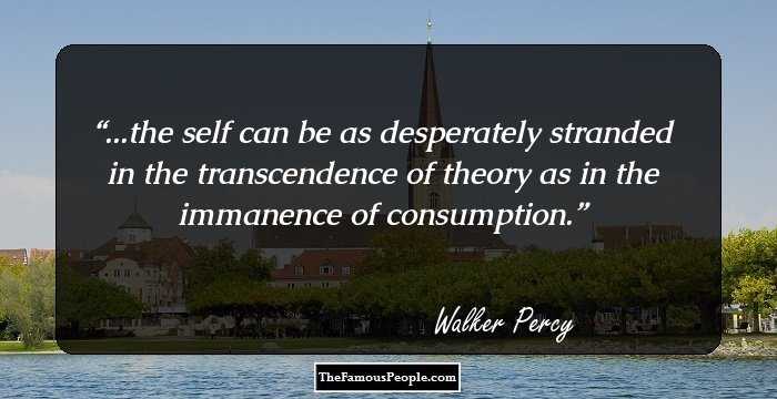...the self can be as desperately stranded in the transcendence of theory as in the immanence of consumption.