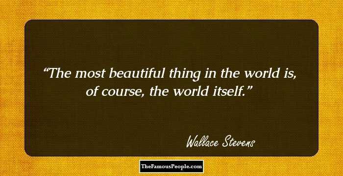 The most beautiful thing in the world is, of course, the world itself.