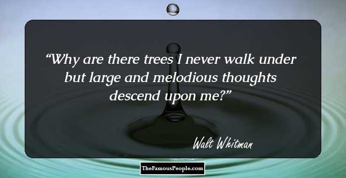 Why are there trees I never walk under but large and melodious thoughts descend upon me?