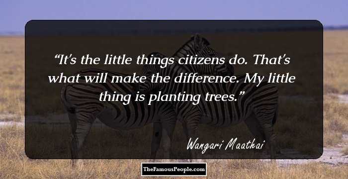 It's the little things citizens do. That's what will make the difference. My little thing is planting trees.