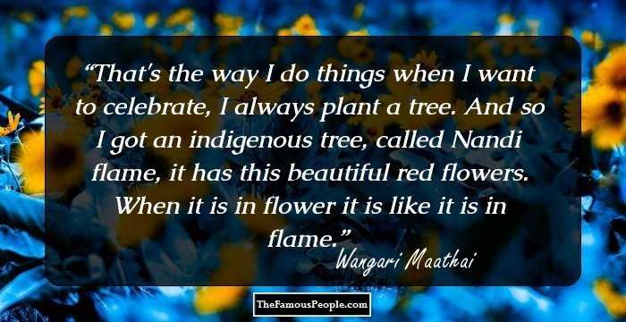That's the way I do things when I want to celebrate, I always plant a tree. And so I got an indigenous tree, called Nandi flame, it has this beautiful red flowers. When it is in flower it is like it is in flame.