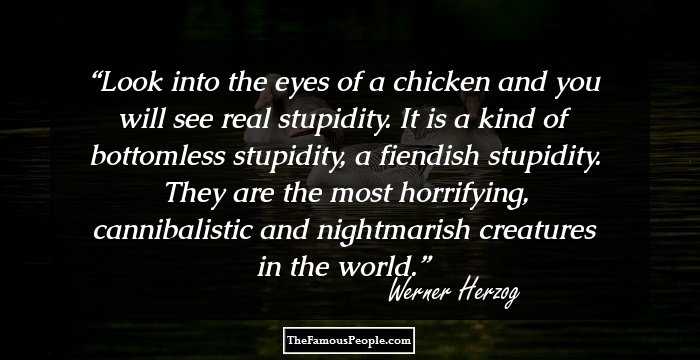 Look into the eyes of a chicken and you will see real stupidity. It is a kind of bottomless stupidity, a fiendish stupidity. They are the most horrifying, cannibalistic and nightmarish creatures in the world.