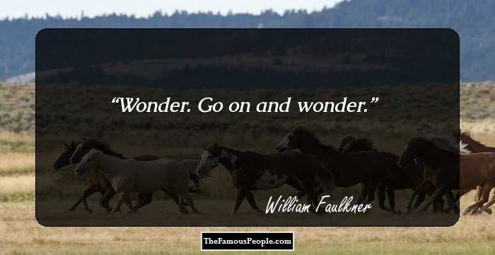 Wonder. Go on and wonder.