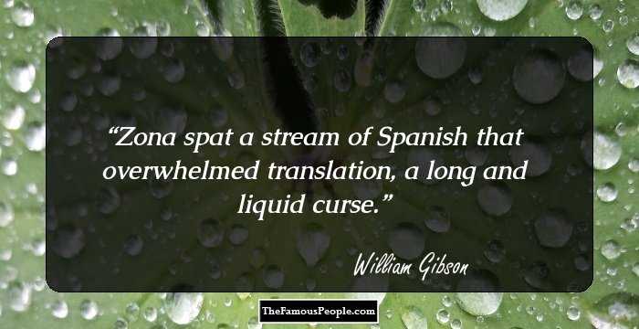 Zona spat a stream of Spanish that overwhelmed translation, a long and liquid curse.
