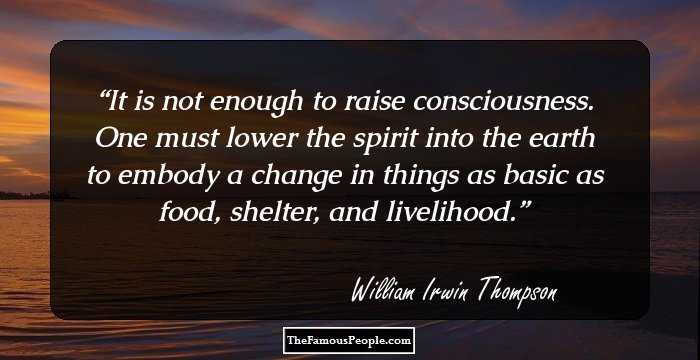 18 Famous William Irwin Thompson Quotes That Are Sure To Gratify Your Soul