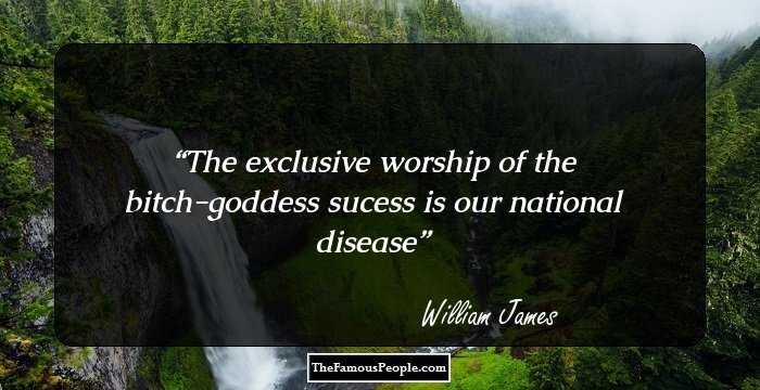 The exclusive worship of the bitch-goddess sucess is our national disease