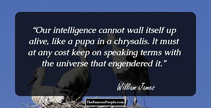 Our intelligence cannot wall itself up alive, like a pupa in a chrysalis. It must at any cost keep on speaking terms with the universe that engendered it.