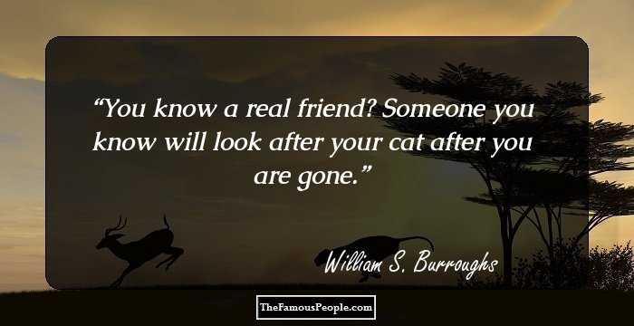 You know a real friend?
Someone you know will look after your cat after you are gone.