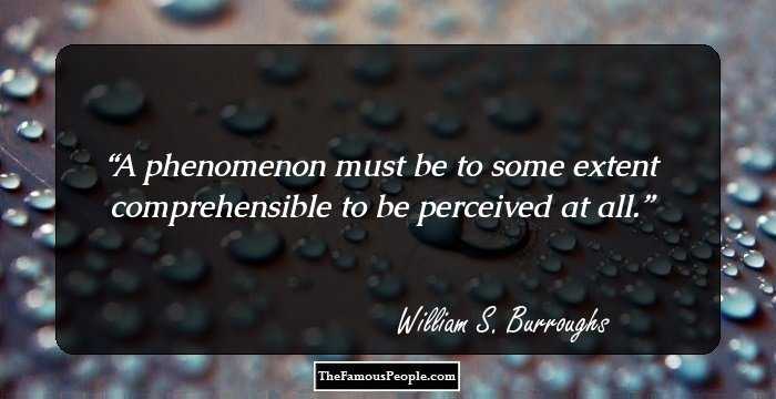 A phenomenon must be to some extent comprehensible to be perceived at all.