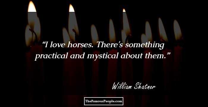 I love horses. There's something practical and mystical about them.