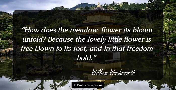 How does the meadow-flower its bloom
 unfold?
Because the lovely little flower is free
Down to its root, and in that freedom
 bold.