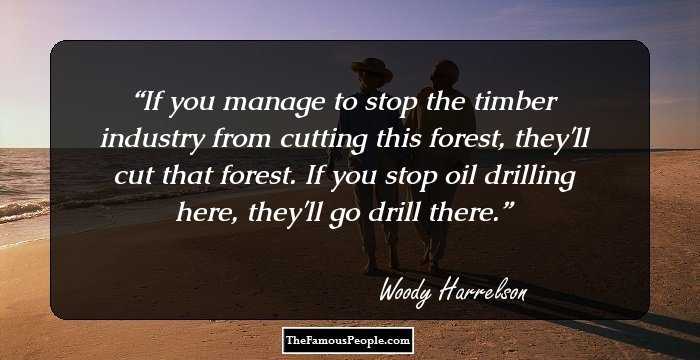 If you manage to stop the timber industry from cutting this forest, they'll cut that forest. If you stop oil drilling here, they'll go drill there.