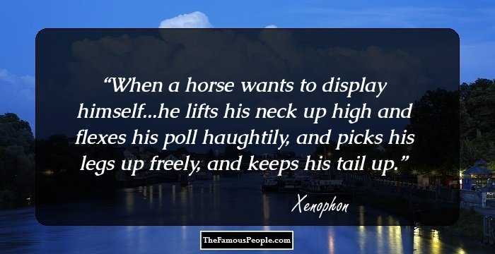 When a horse wants to display himself...he lifts his neck up high and flexes his poll haughtily, and picks his legs up freely, and keeps his tail up.